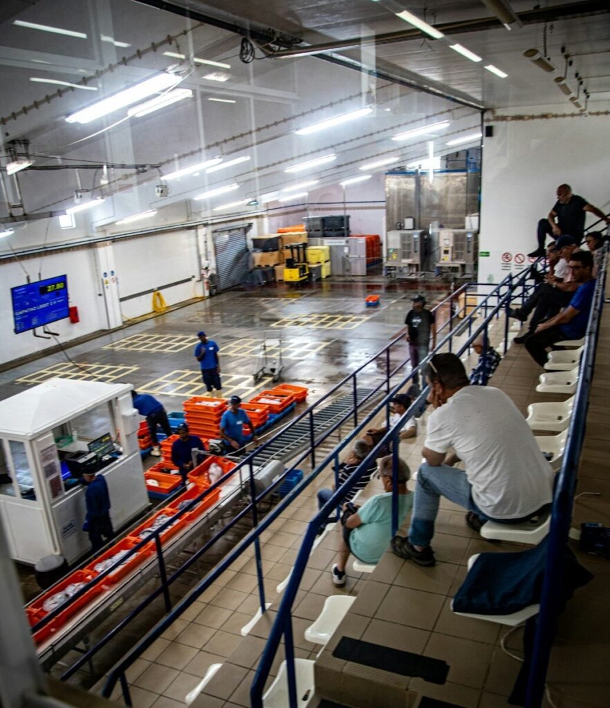 Workers sort products on conveyor, observed by people on bleachers.